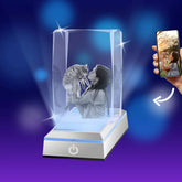 3D Crystal Photo Rectangle Portrait with Light Base PawCrystal