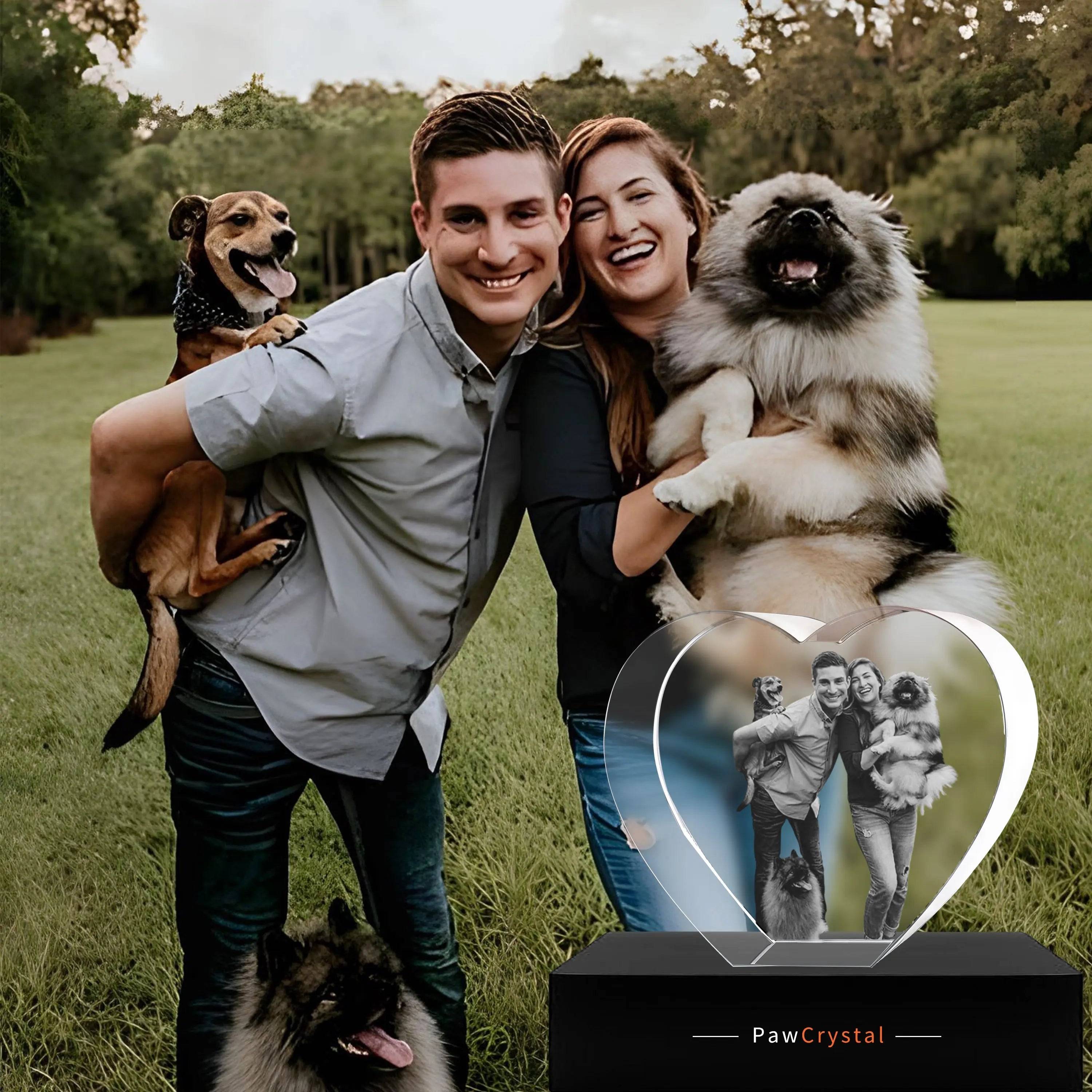 3D Crystal Photo Heart Shape with Light Base PawCrystal