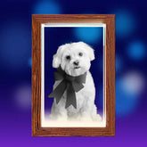 3D Crystal Photo LED Light Wooden Frame Rectangle PawCrystal