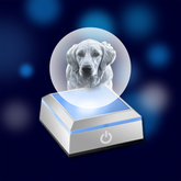 3D/2D Crystal Photo Ball Shape with Light Base