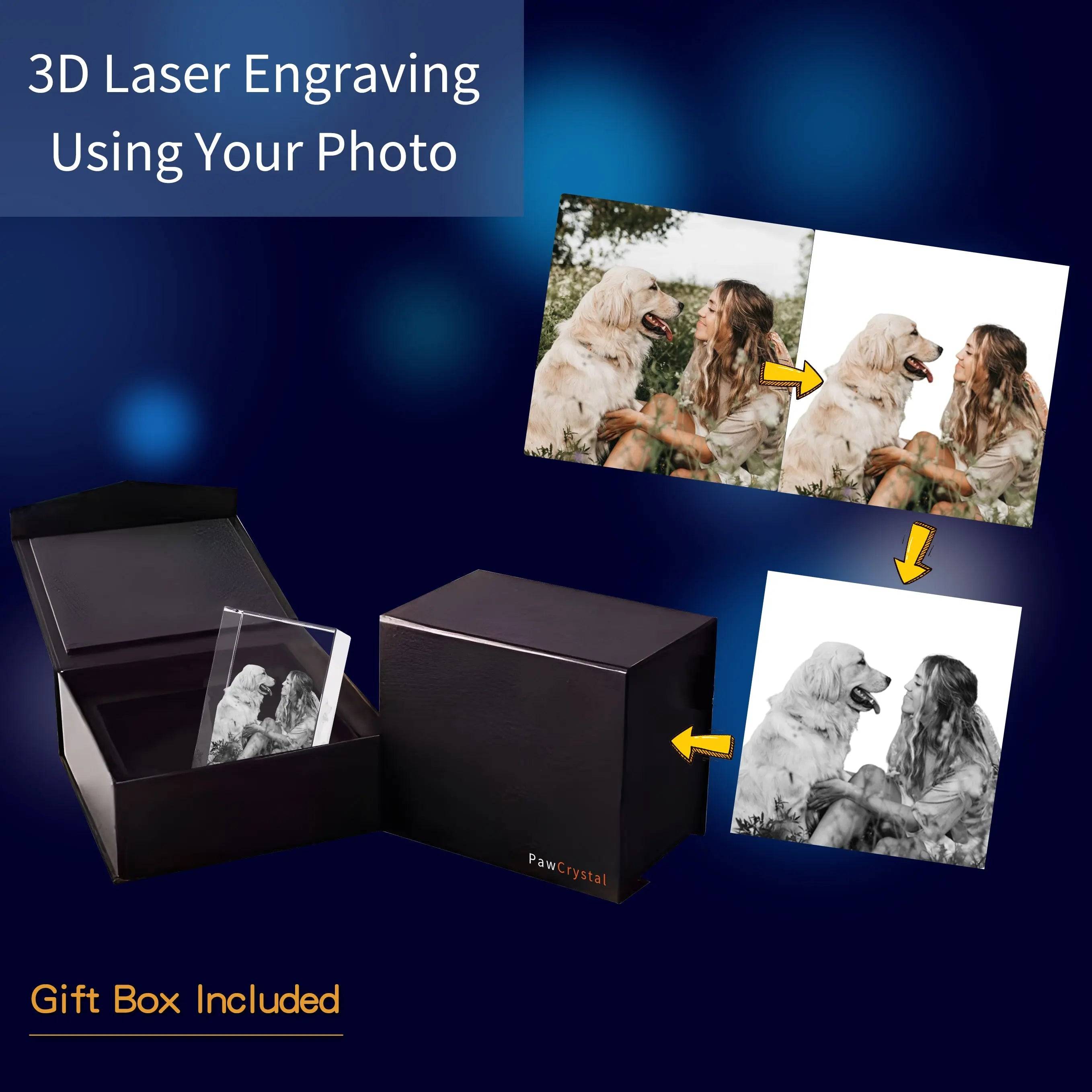 3D Crystal Photo Rectangle with Light Base PawCrystal