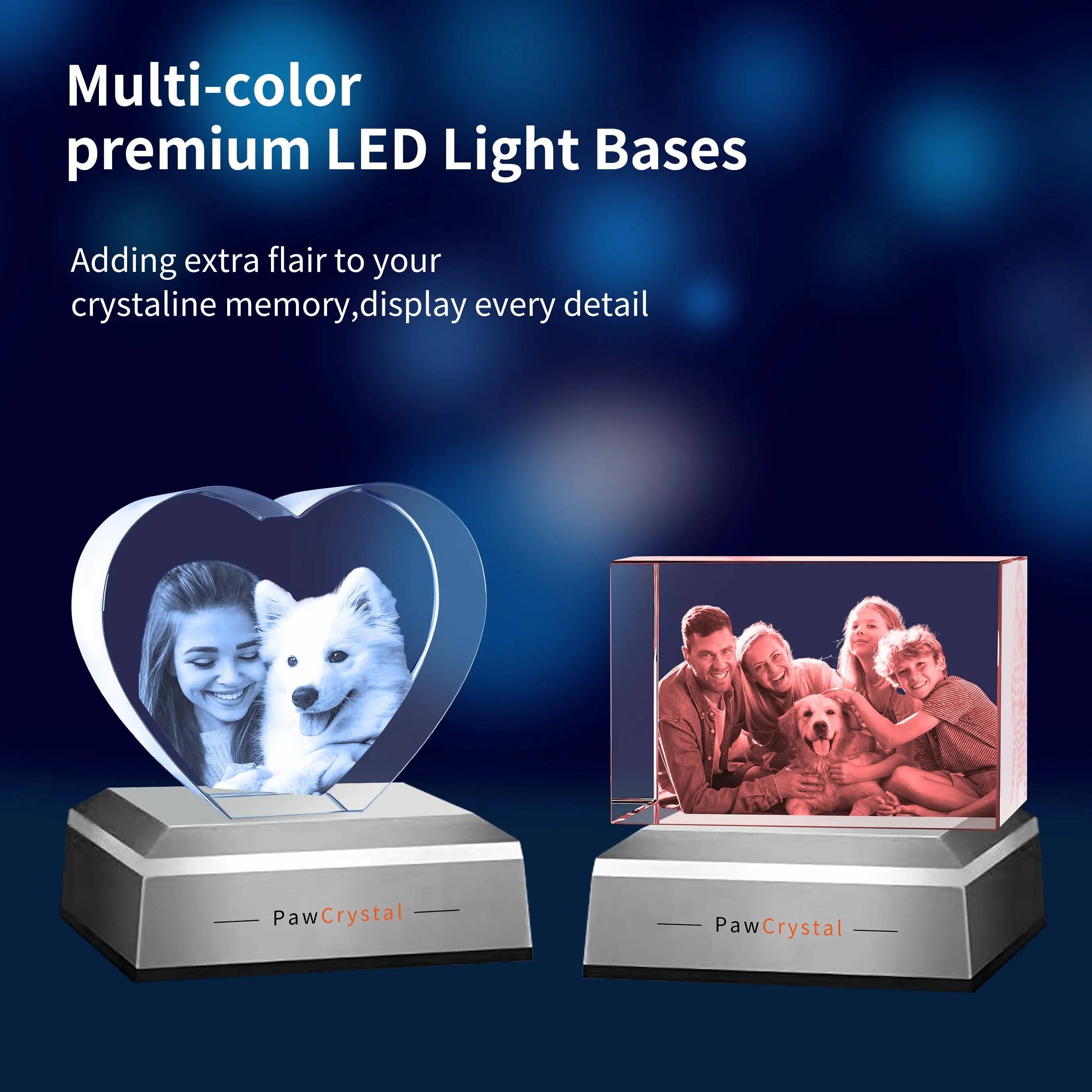 3D Crystal Photo Rectangle with Light Base PawCrystal