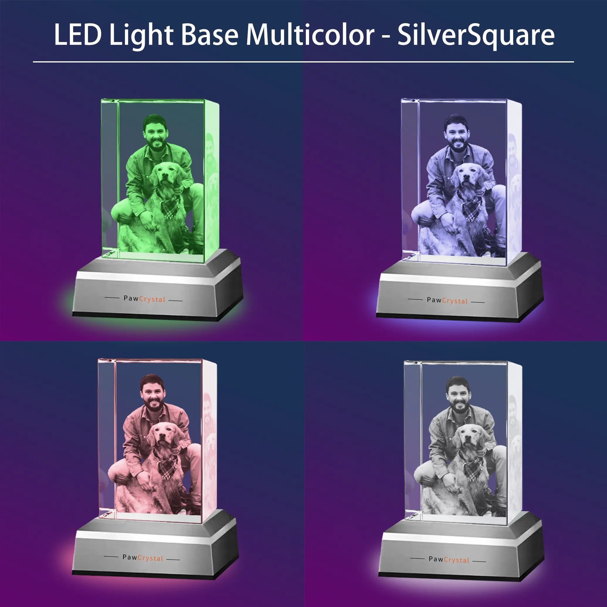 3D Crystal Photo Portrait with Light Base PawCrystal